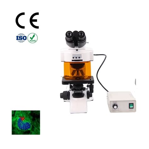 Image result for Fluorescence Microscope Light Source