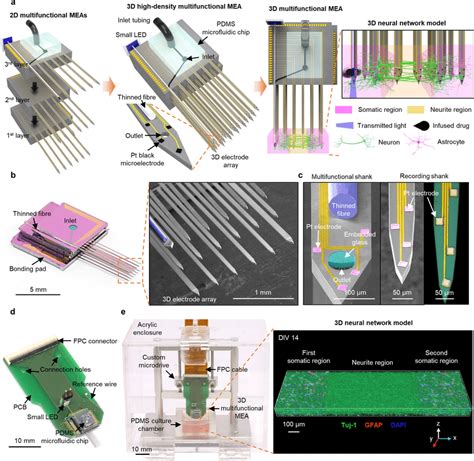Image result for Small Electrode Array