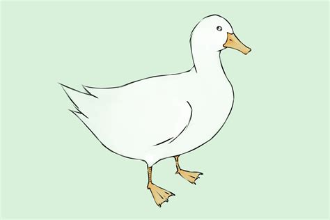 Image result for Eend Tekenen Makkelijk