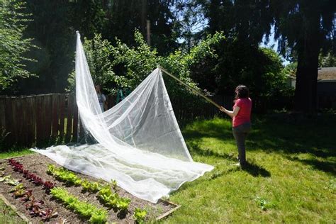 How to Call Fruit Net に対する画像結果