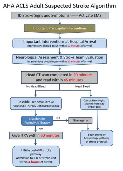 Afbeeldingsresultaten voor Adult Stroke Algorithm