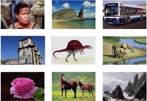 Any Other Examples Image に対する画像結果