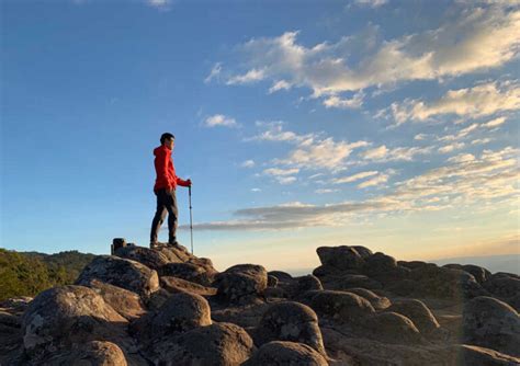 Exciting New Logo に対する画像結果