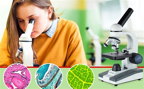 Image result for Compound Microscope Microbiology Laboratory