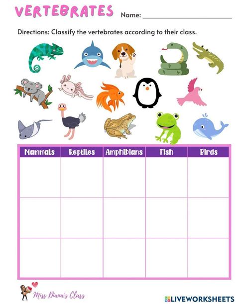 Image result for Vertebrate Classification