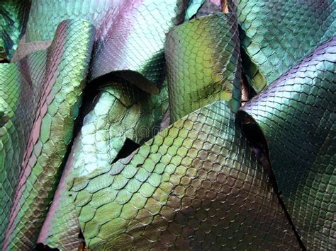 Image result for Dark Green Python Skin