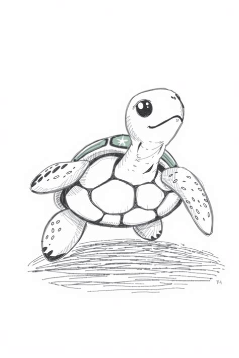 Image result for Turtle Draw