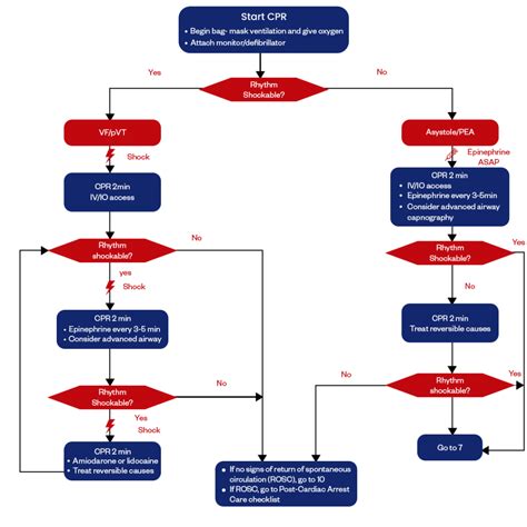 Post Cardiac Arrest Algorithm Peadiatric に対する画像結果