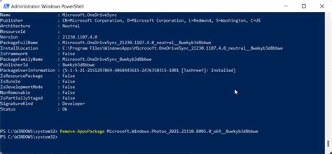 Microsoft Photos App Install PowerShell に対する画像結果