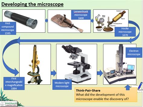 Microscope Time に対する画像結果