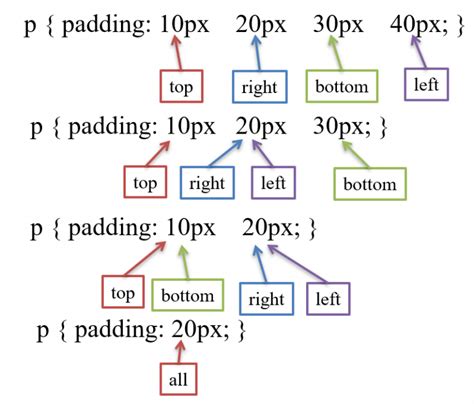 What Is the Purpose of Padding in CSS に対する画像結果