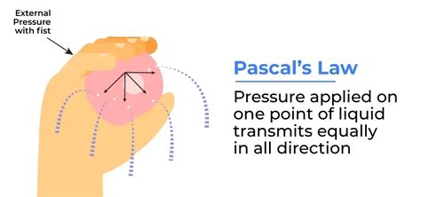 Image result for Pascal Meaning