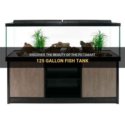 PetSmart 125 Gallon Aquarium に対する画像結果