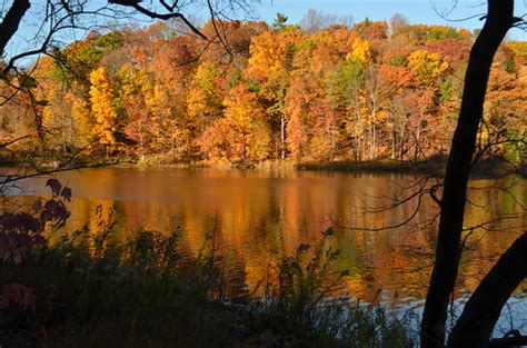 Image result for Ithaca NY Fall Colors