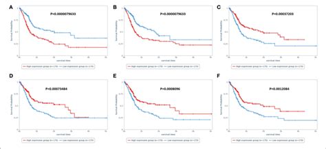 Image result for Bladder Cancer Life Expectancy