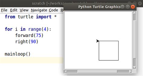 Image result for Turtle Graphics Code Example