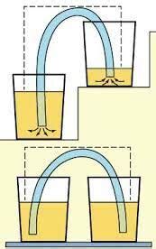 Afbeeldingsresultaten voor How to Siphon Water by Mouth