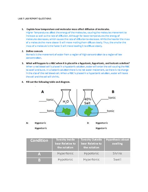 Diffusion Lab Report Drawing に対する画像結果