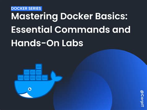 Docker Basics に対する画像結果