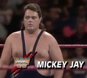 Image result for Jobber WCW