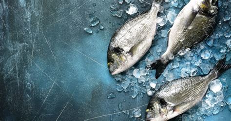 Afbeeldingsresultaten voor Omega-3 Fish