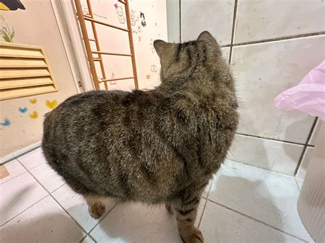 Toradh íomhá ar 4 Classification of Computer