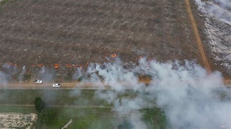 Image result for Controlled Heath Fire