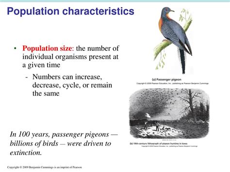 Population Equation Biology に対する画像結果