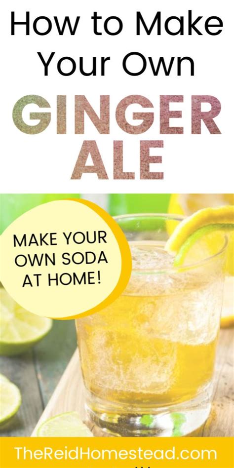 Image result for Making Ginger Ale with Ginger