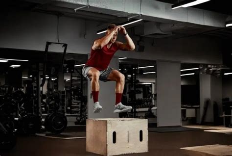 Image result for Explosive Box Jumps