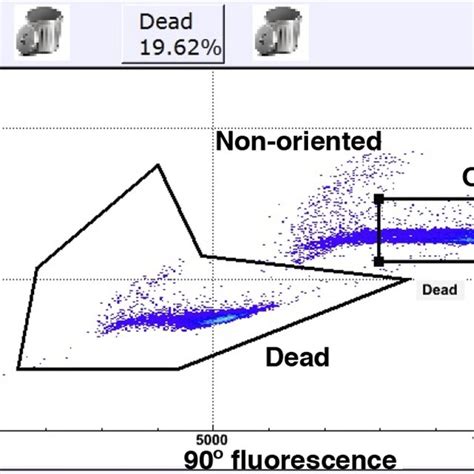 Bivariate Distribution Histogram కోసం చిత్ర ఫలితం