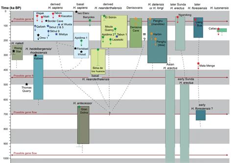Afbeeldingsresultaten voor Human Evolution Tim Graph
