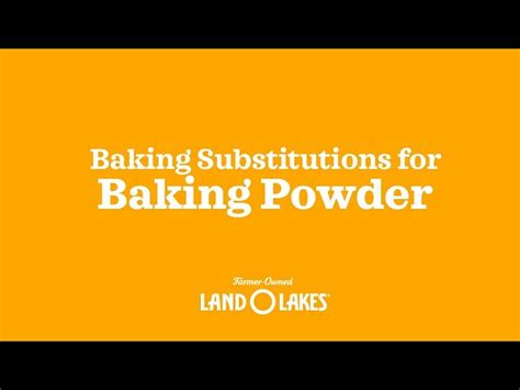 Substitution for Baking Powder に対する画像結果
