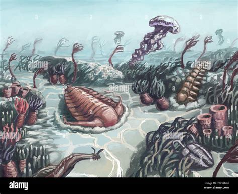 Image result for Cambrian Explosion Documentary