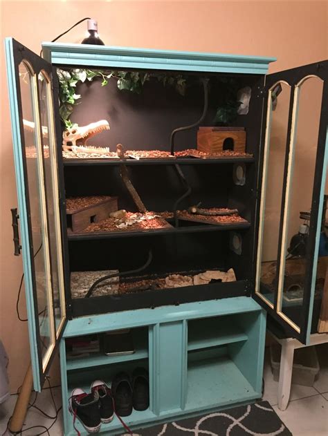 Image result for DIY Snake Rack Ball Python