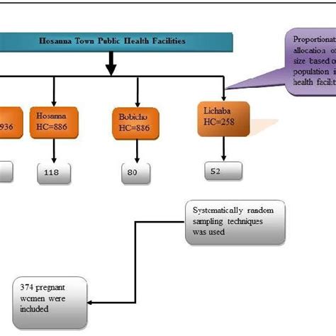 Sample and Sampling Procedure in Research Example に対する画像結果