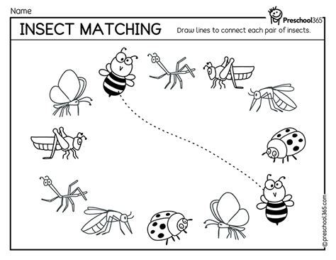 Toradh íomhá ar Insect Matching Worksheet
