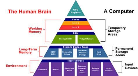 Human Memory and Computer Memory に対する画像結果