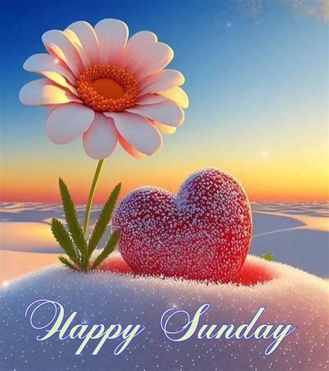 تصویر کا نتیجہ برائے Sunday Citizen Logo