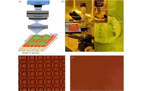 Image result for Imaging through a Microlens Array