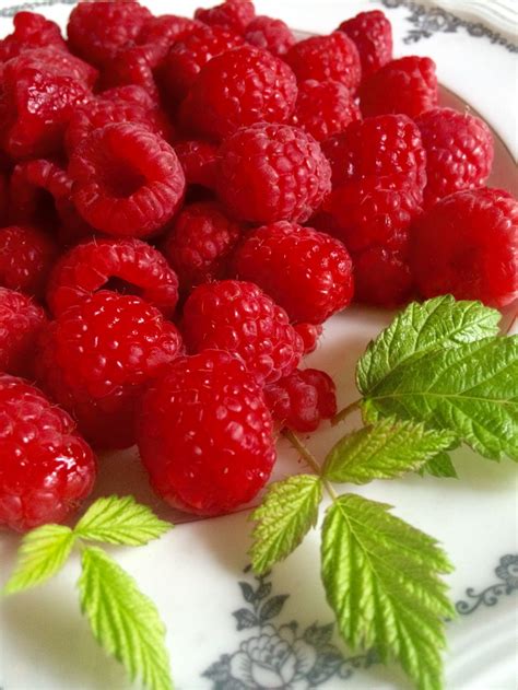 Frambozen Cheesecake に対する画像結果