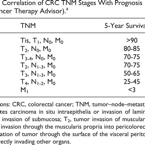 Colon Cancer Classification に対する画像結果