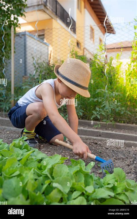 Children Growing Vegetables に対する画像結果