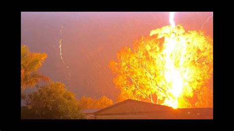 Image result for Trees Exploding Scene