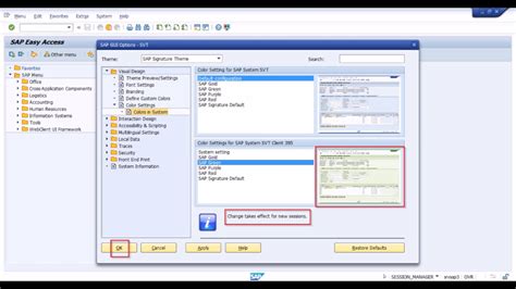 Image result for SAP GUI Settings