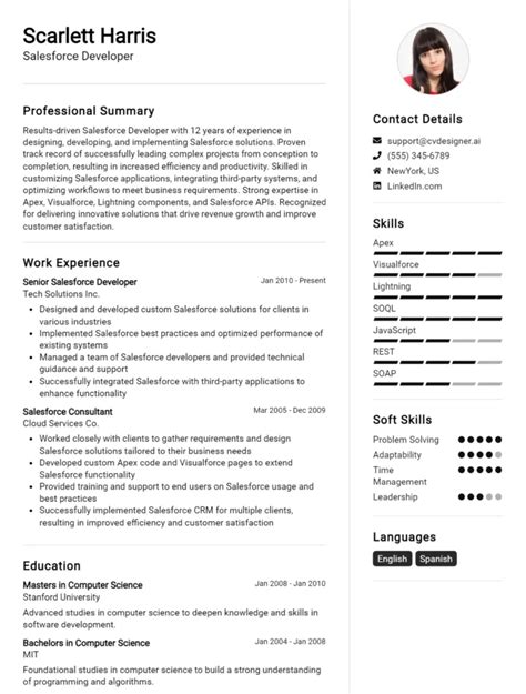 Image result for Developer CV Examples
