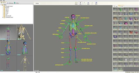 Afbeeldingsresultaten voor Unity Logo Bone Lab Look