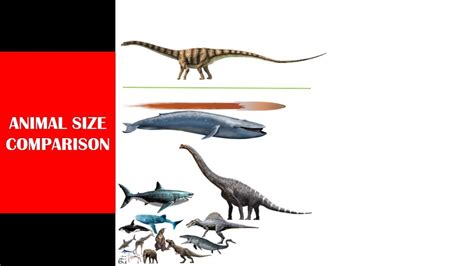Afbeeldingsresultaten voor Animal Size Comparison Spore