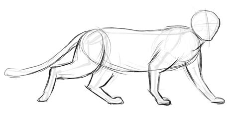 Image result for How to Draw a Cat On Python T