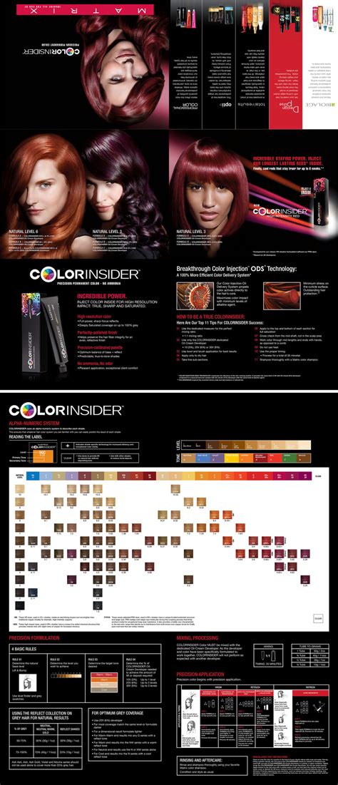 Image result for Matrix Color Insider Chart